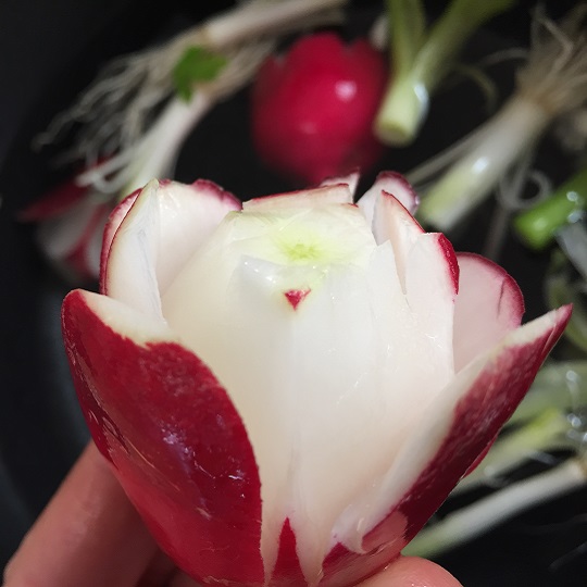 A radish, sliced into an ornamental flower shape.